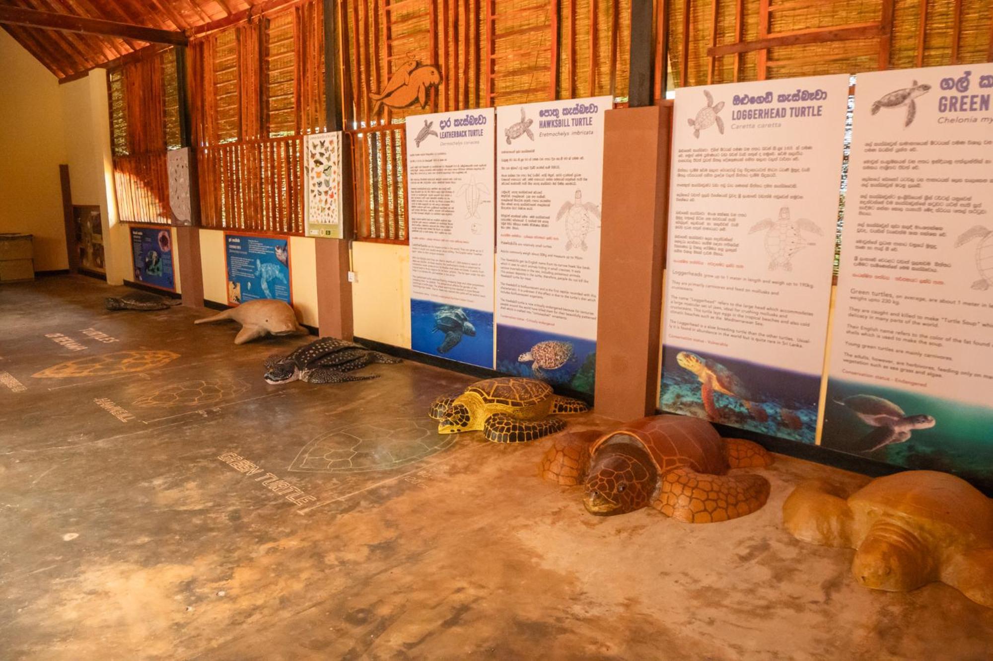 Rekawa Turtle Gate Hotel Tangalle Zewnętrze zdjęcie
