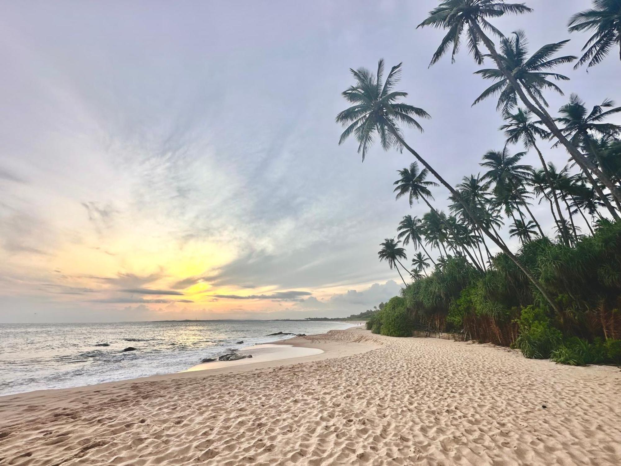 Rekawa Turtle Gate Hotel Tangalle Zewnętrze zdjęcie